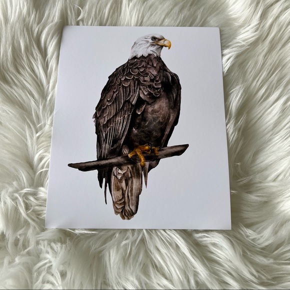 Watercolor Wall Art Print Eagle Portrait Unframed - Picture 12 of 13